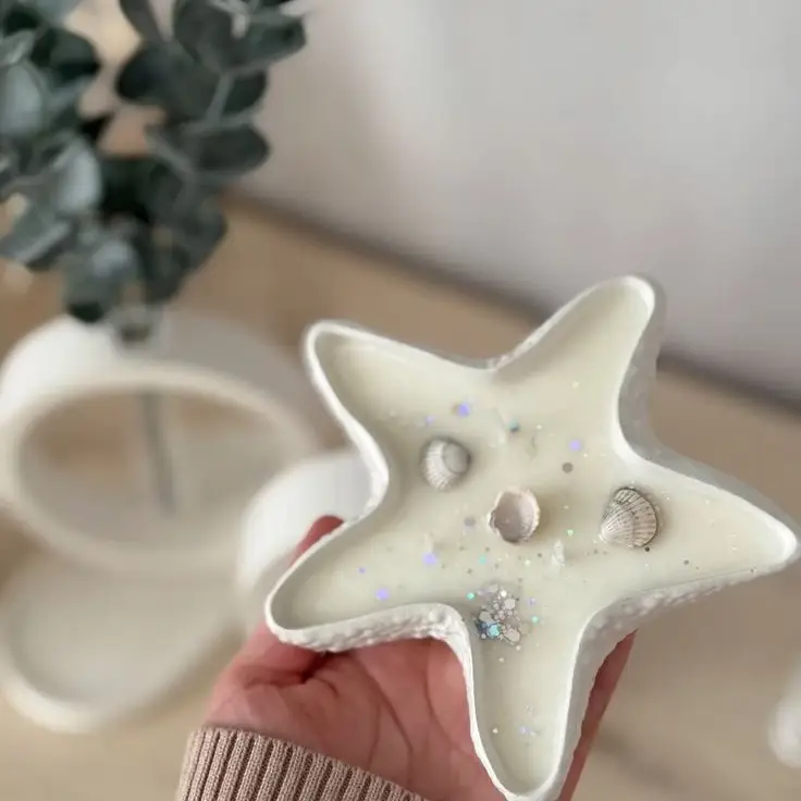 Estrella de mar rellena's photo #1