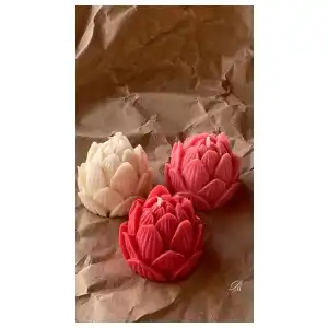 Flor de loto cerrada miniatura 4