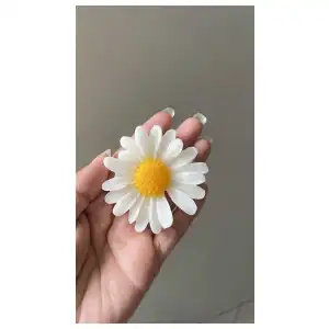 Flor de margarita miniatura 1